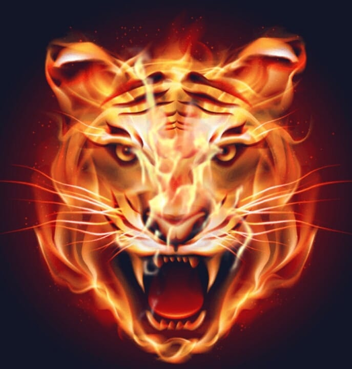 Rotsteins Tiger-Avatar